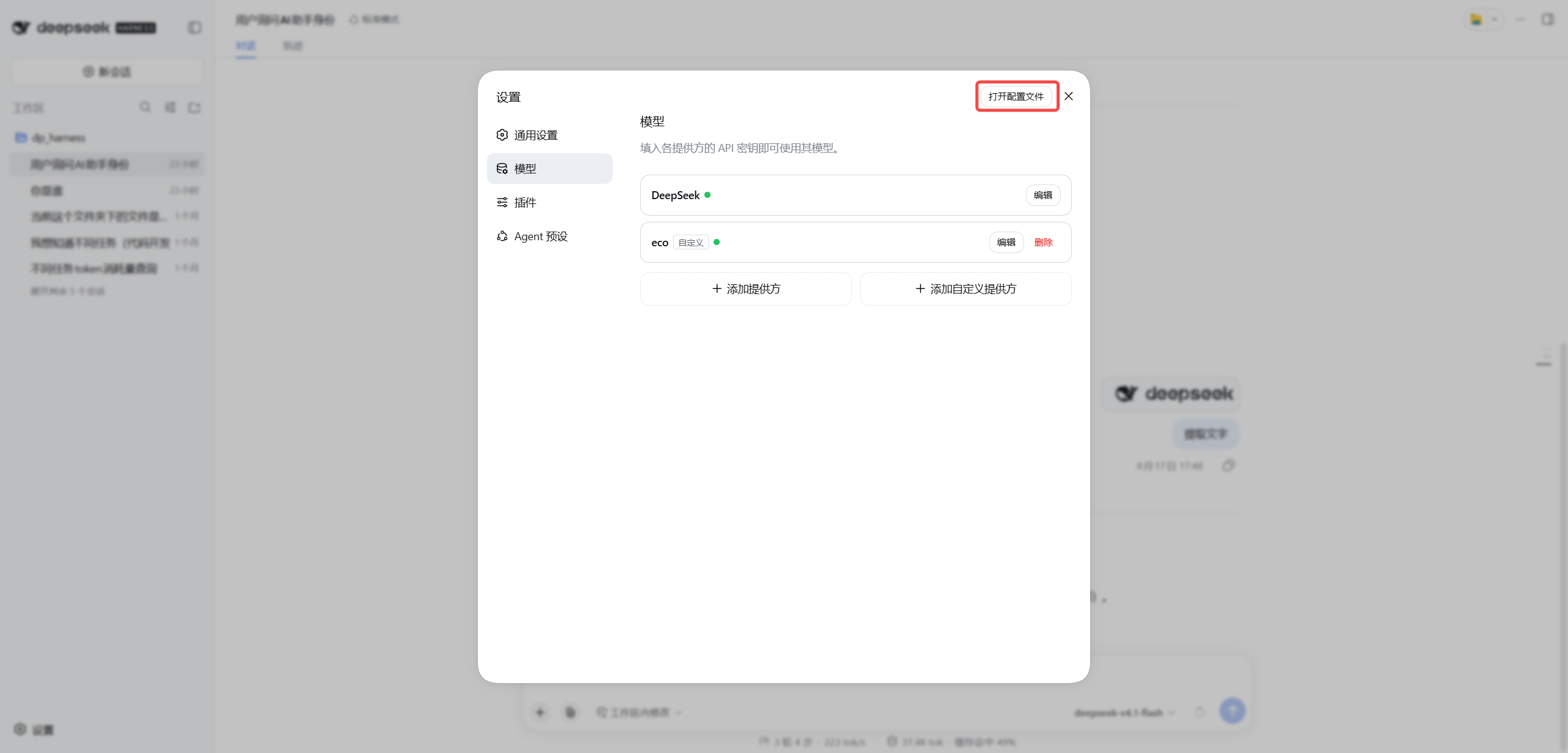 在 DeepSeek Harness 模型设置中打开配置文件
